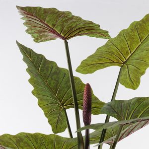 Διακοσμητικό φυτό σε γλάστρα Wentii Inart πράσινο Φ130x180εκ