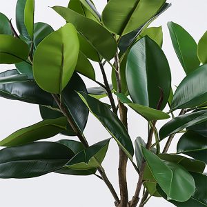 Διακοσμητικό φυτό σε γλάστρα Ficus Lyrata Inart πράσινο Φ70x130εκ