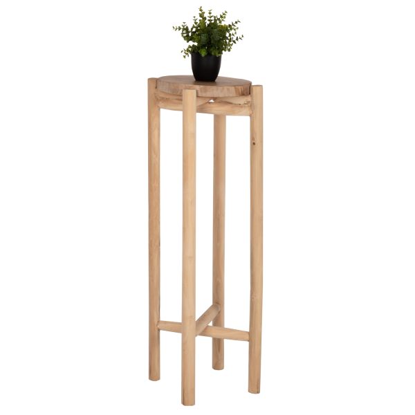 anthostili-fb97936-xylo-teak-se-fysiko-c