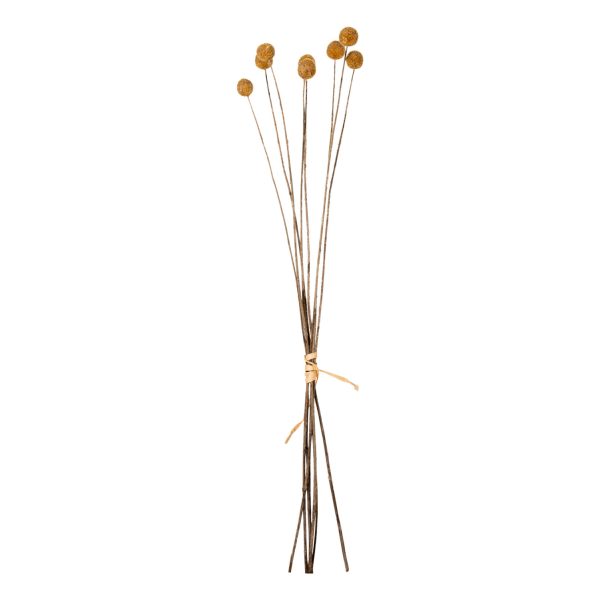 diakosmitiko-apoxirameno-mpoyketo-craspe