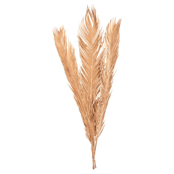 diakosmitiko-apoxirameno-set-3-fyllon-fo-6