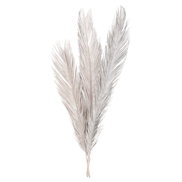 diakosmitiko-apoxirameno-set-3-fyllon-fo