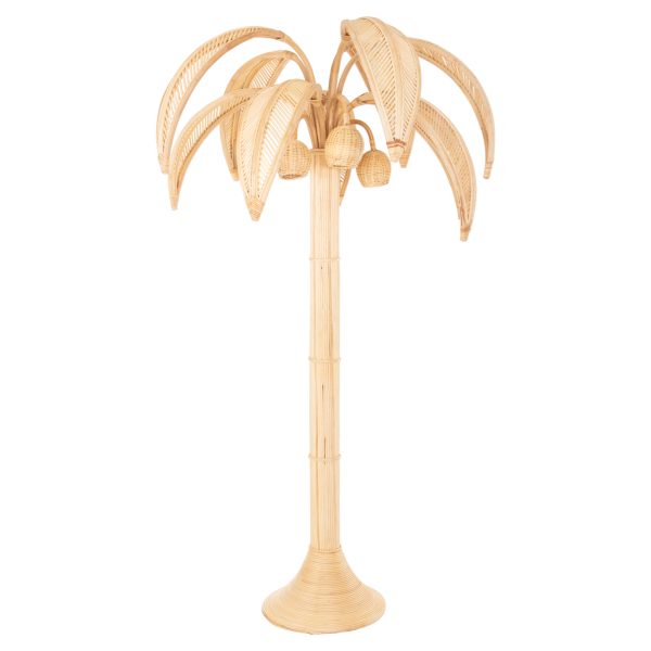 diakosmitiko-dentro-fb94317-tkokofoinika