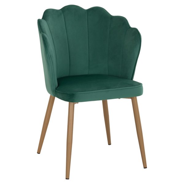 karekla-fb9873703-beloydo-kyparissi-me-m