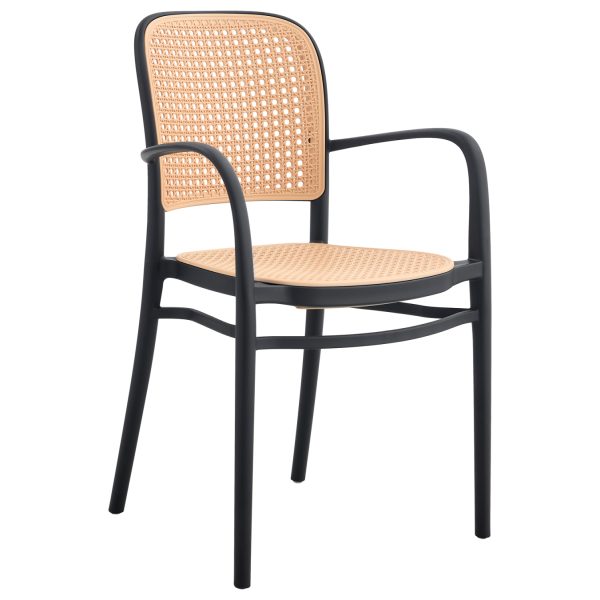 polythrona-polypropylenioy-fb9593802-may