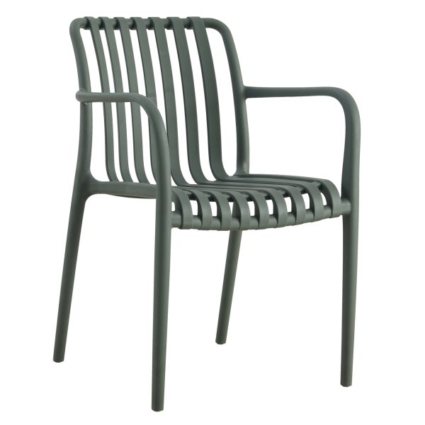 polythrona-polypropylenioy-fb9594007-dar