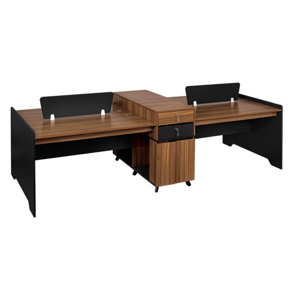 stathmos-ergasias-epaggelmatikos-4-atomo